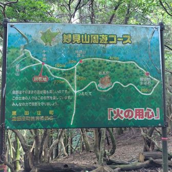 山頂に向かう所に交差点（十字路）がありました。左の道を進むと山頂に行けます。