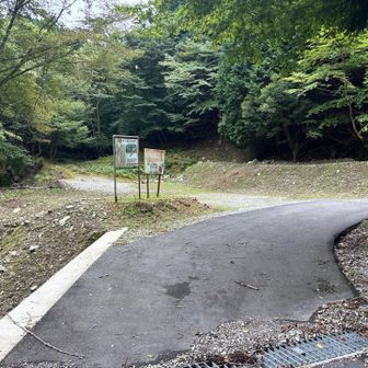 この様に舗装路で