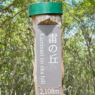 雷の丘