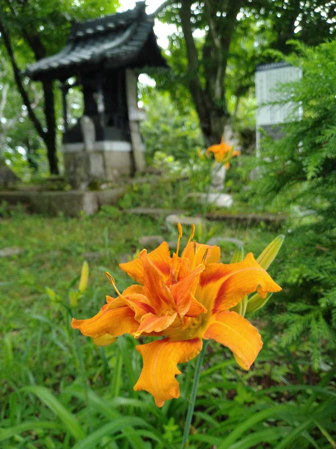 六所山（福井県）の写真