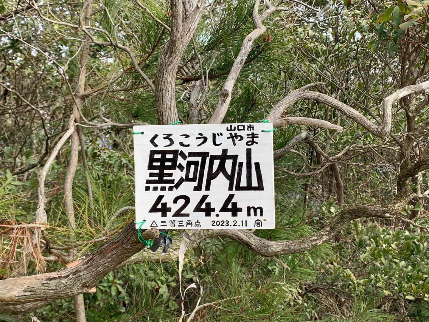 新しく設置しました♪