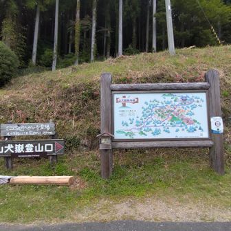 登山口