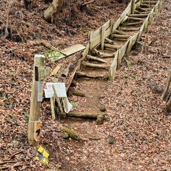 今度はここに入ります。