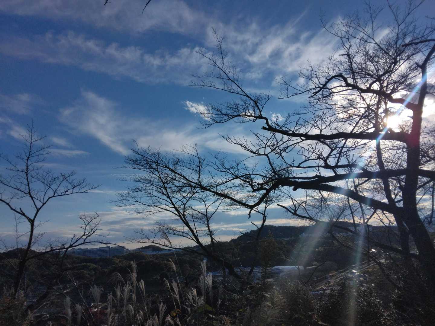高松山周回 | 明治天皇が愛した厚木の隠れた名峰。歴史を巡る大人の里山ハイクの写真