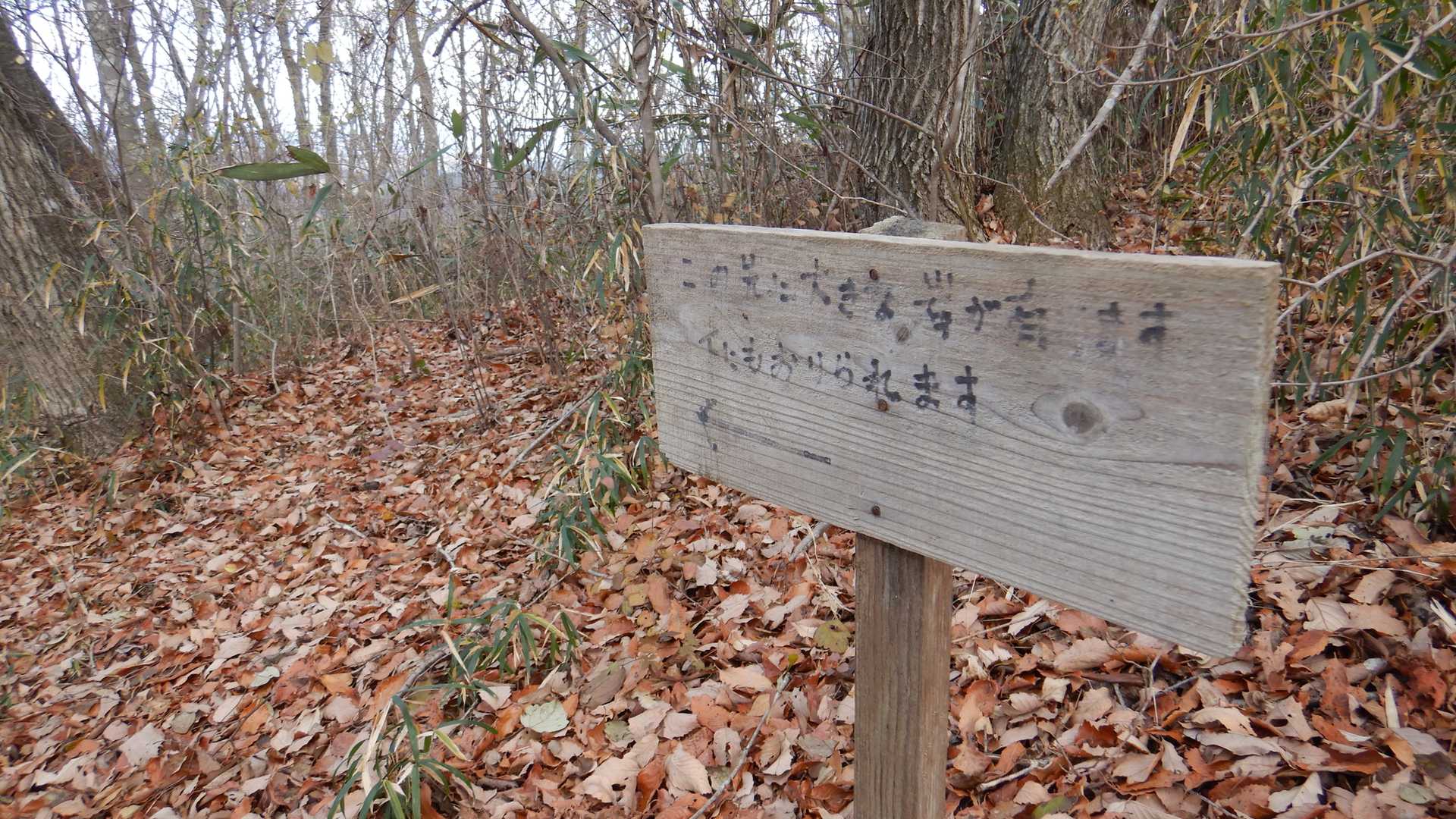 「この先に大きな岩があります。下にもおりられます」と書いてあったので行ってみることに…