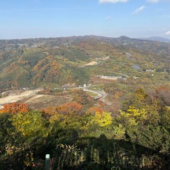 右側の手前が対象区域