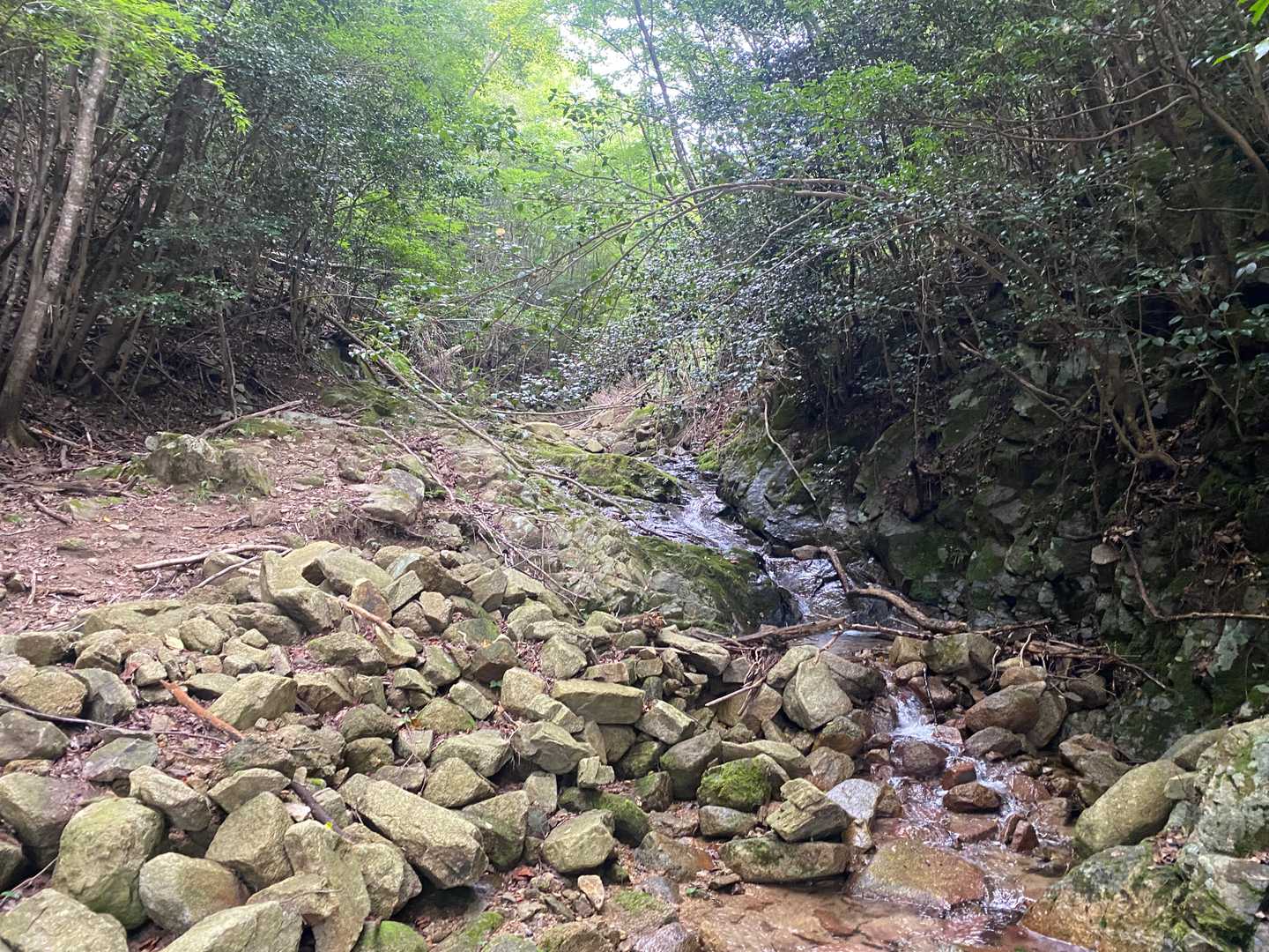 以前来た時はここまで登ってきていませんが、災害復旧は手付かずの状態みたいですね。