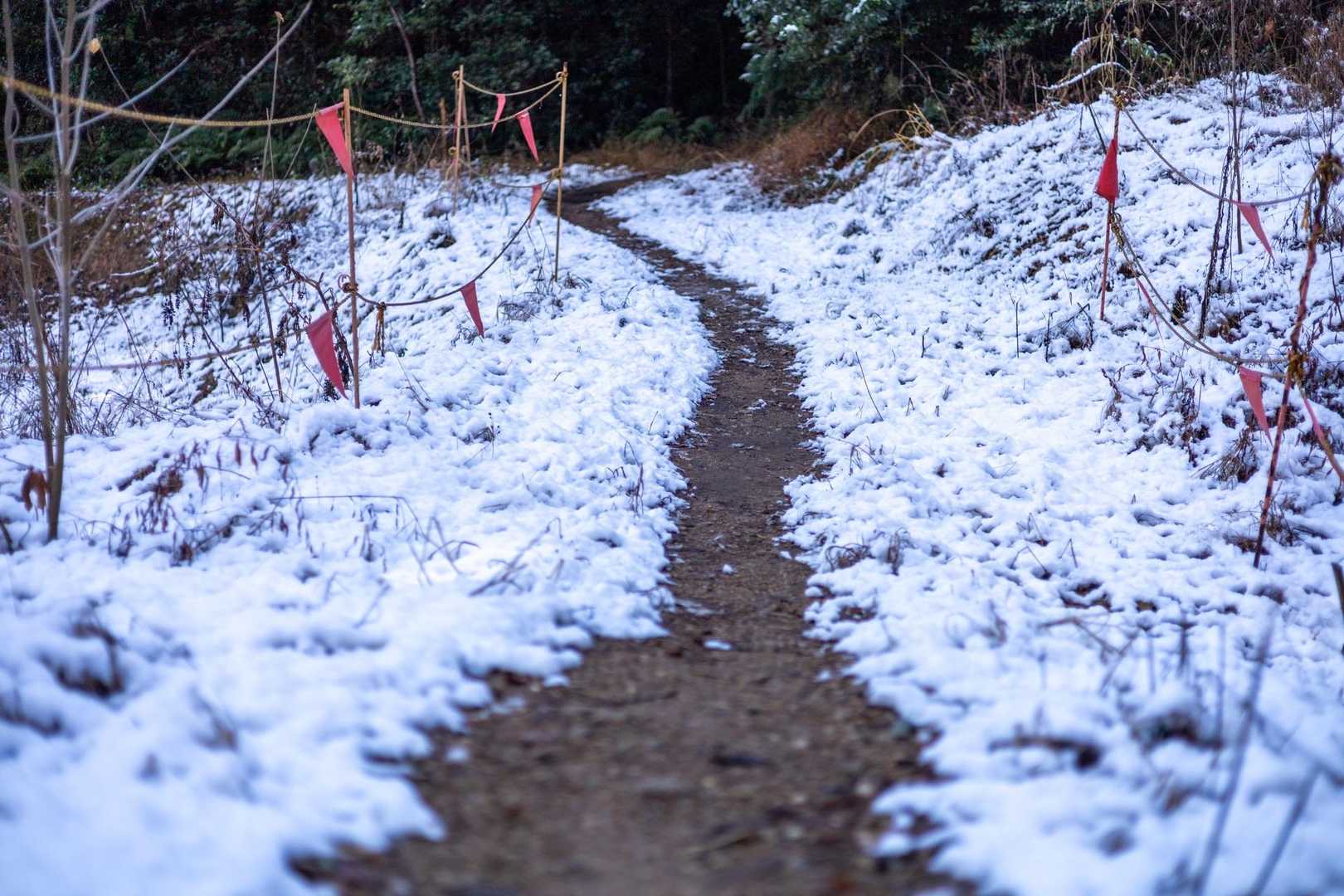 雪の上を🥾🤍