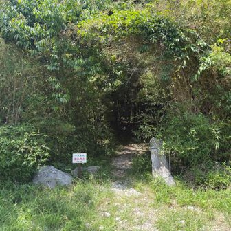 龍護峰登山口