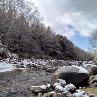 河原を少し散策。
