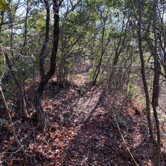 堀切を通って中丸跡へ。