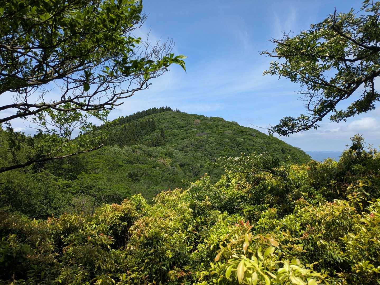 登った地蔵山▲
