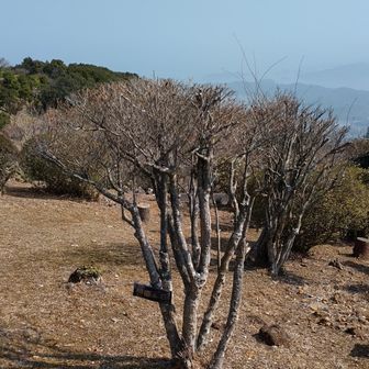 戻ってきました
振り返って👀📷️✨
朝熊山(あさまやま)からの絶景