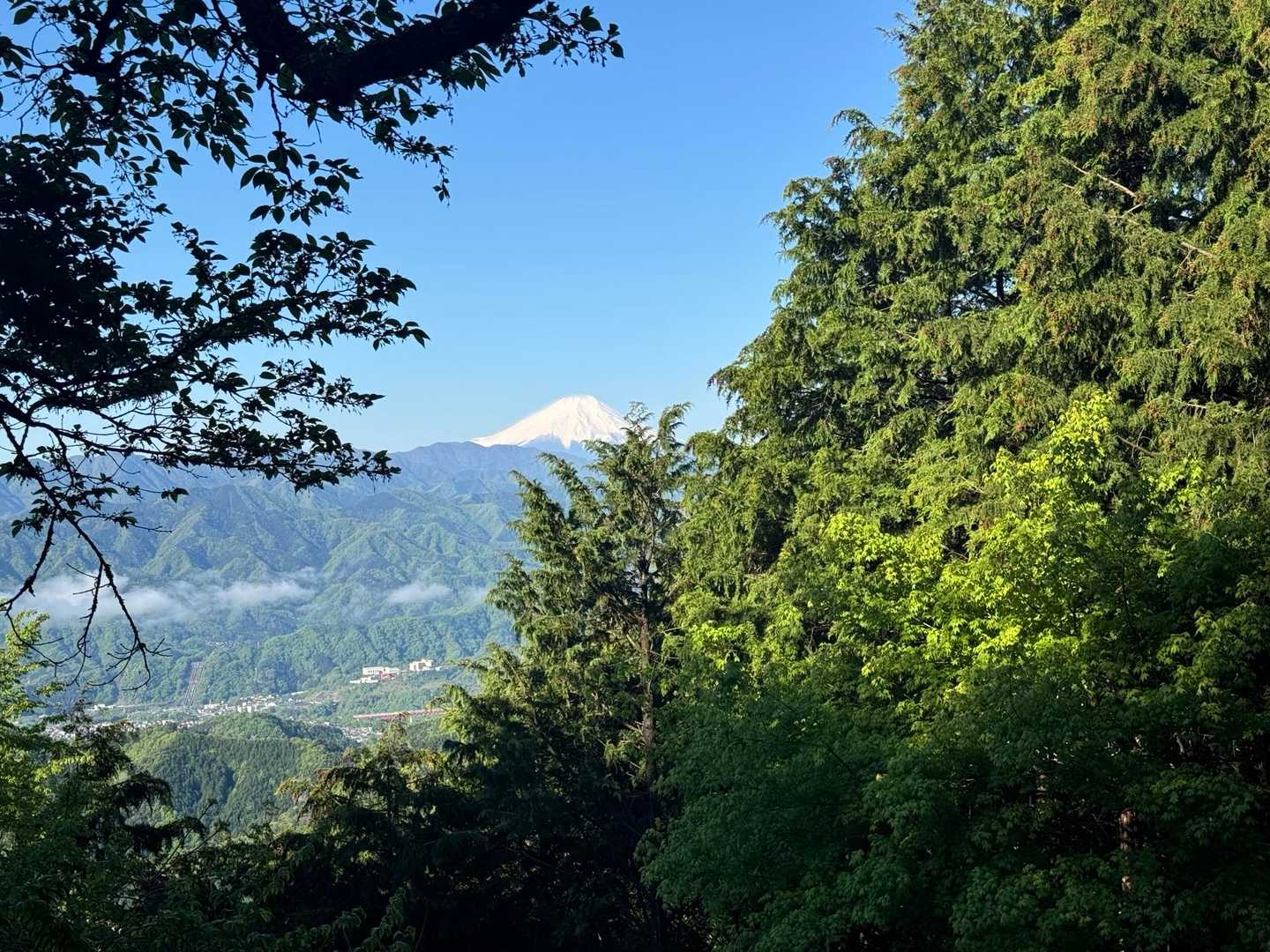 軍刀利神社-佐野川峠-生藤山 往復コースの写真