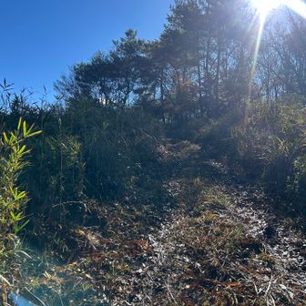 よく分からないまま最後は有刺鉄線を跨いで抜け出した(ﾉ∀｀笑)