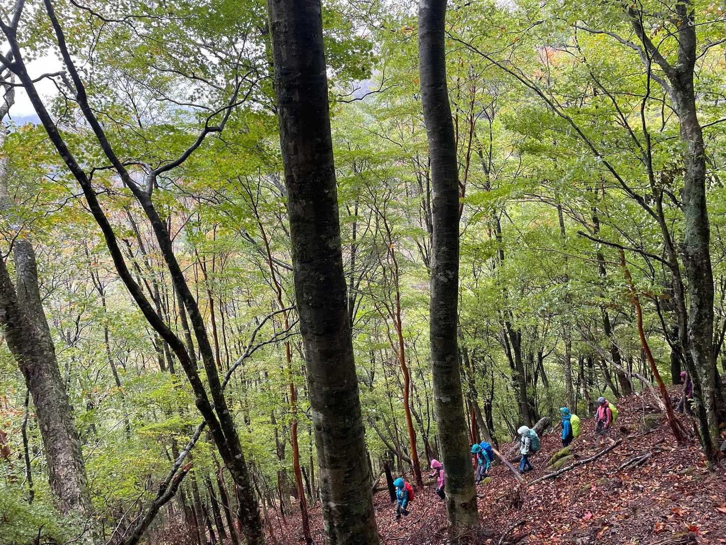 こちらのコースで下山はすごく分かりづらい道。　1人では絶対に無理だと思った😱