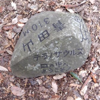 青田山山頂。標高310m。
この標識良いね！
ティラノの口の中か。
