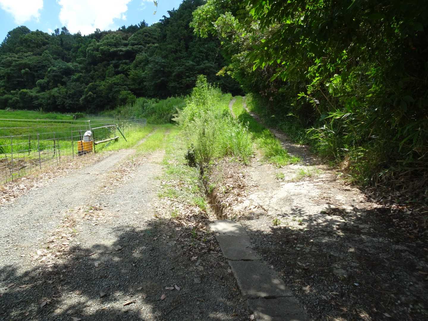 右側の道を上がって行きます
案内板がないのです😞✋