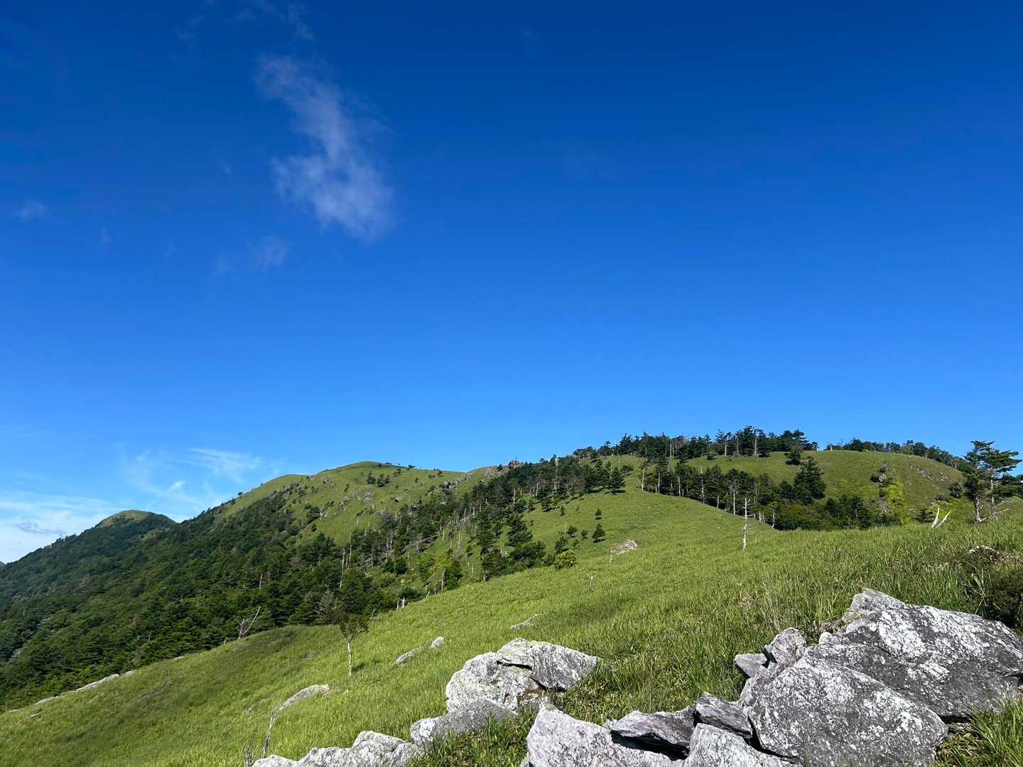 塔の丸登山口-塔丸-ラ・フォーレつるぎ山バス停-丸笹山 周回コースの写真