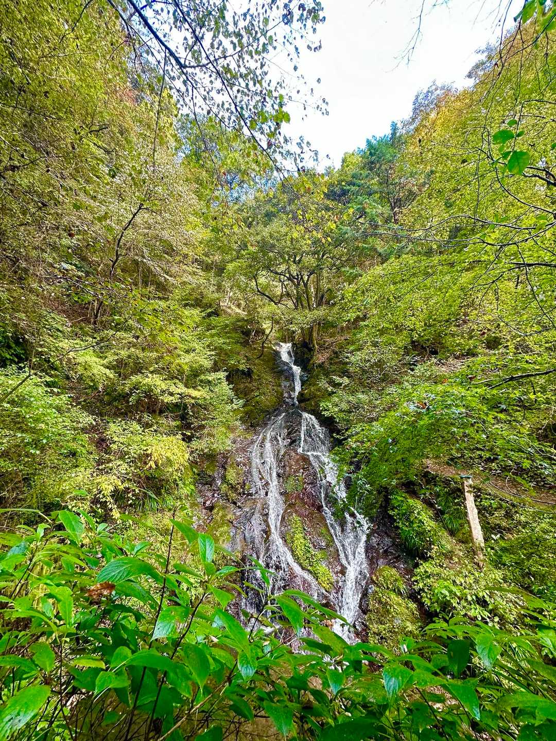 白岩の滝〜✨