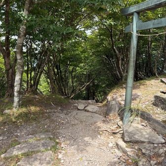 上宮の分岐まで戻ります