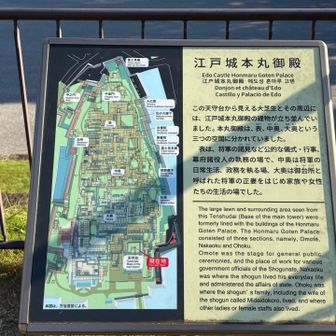 江戸城本丸御殿について