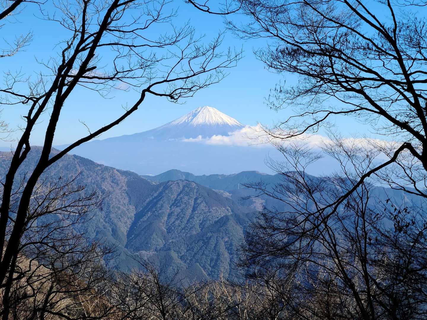おお‼️