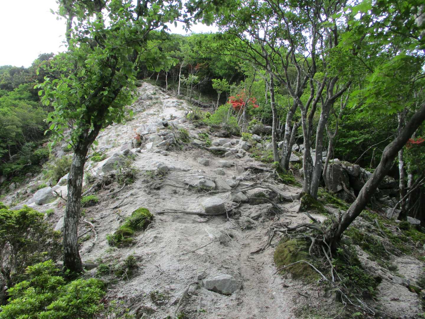 石榑峠-三池岳 往復コースの写真
