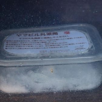 ヤマビル退治用の塩がありました。