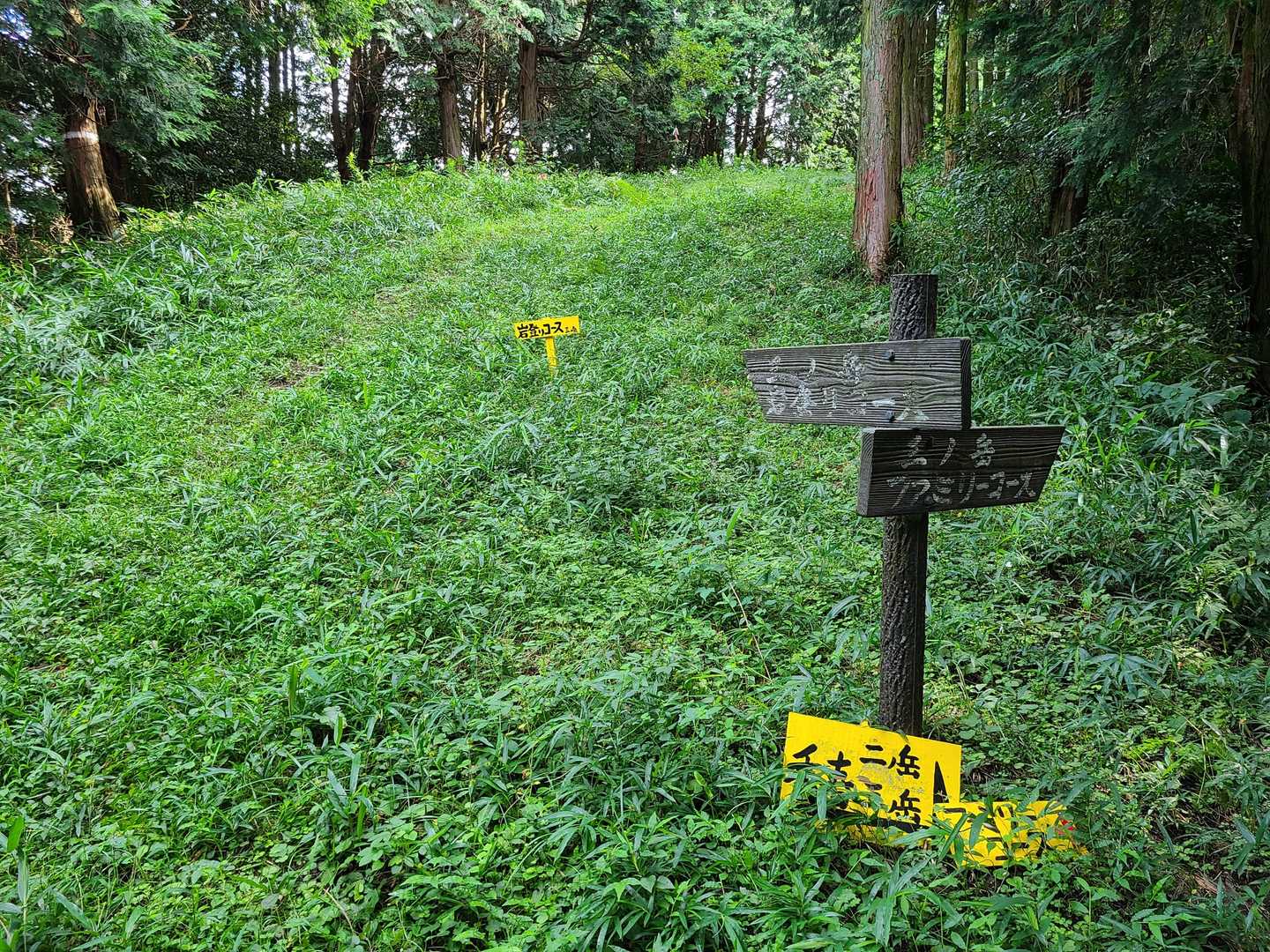 五徳越峠-三ノ岳 往復コースの写真