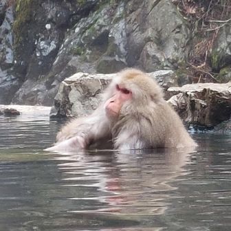 ひろ