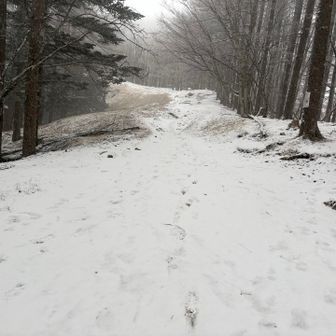 この先もゆるゆる坂道