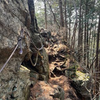 元に戻り南コースで下山します