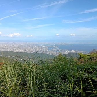大阪湾にゃ。