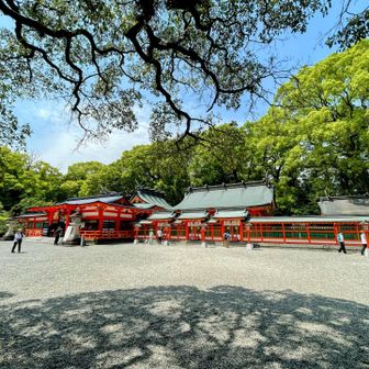 青空と木々の緑、社殿の赤が映えます