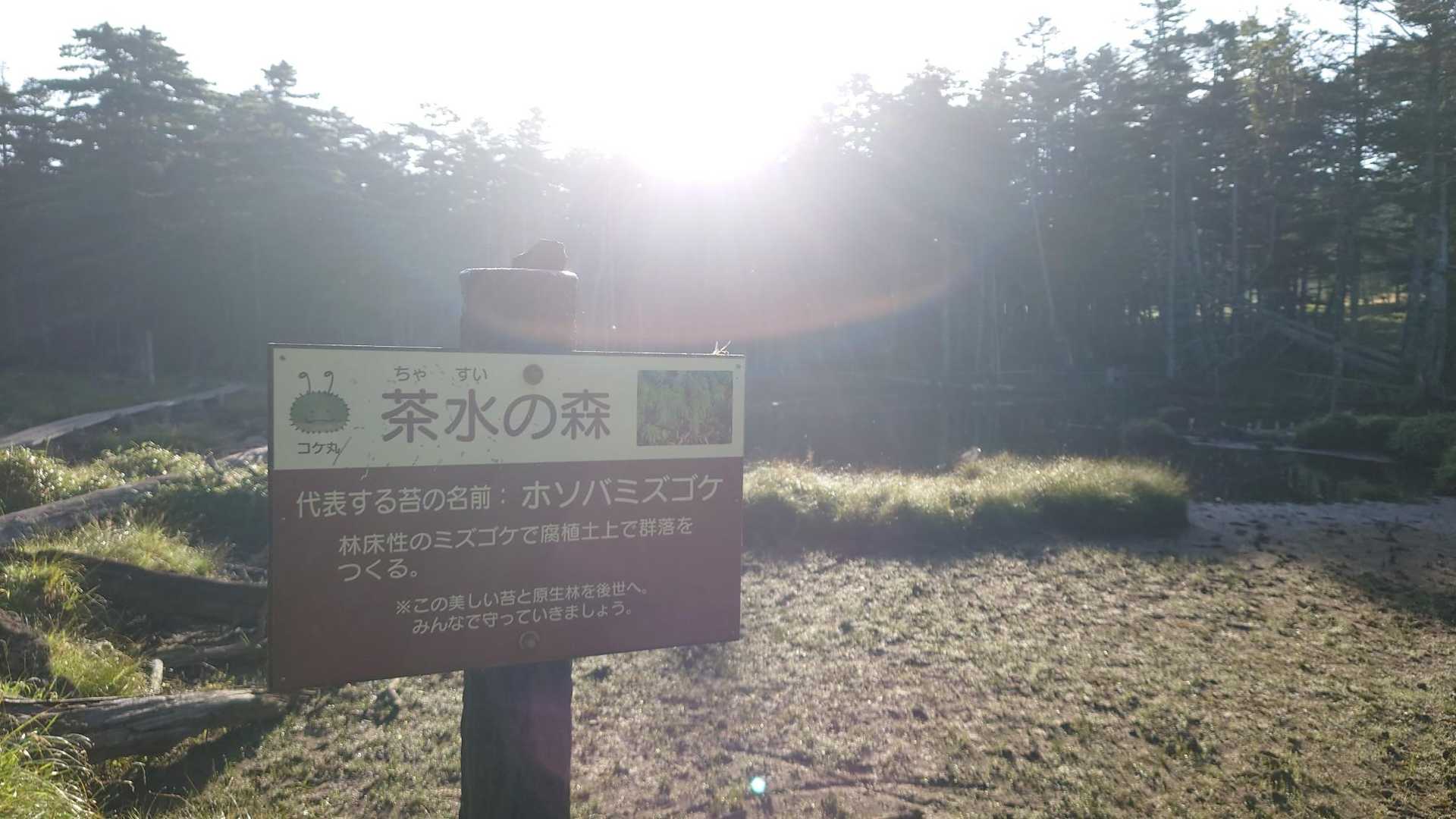 池の写真を取ってますが…何か違う！と思ったら真逆のコースへ進もうとしていました💦