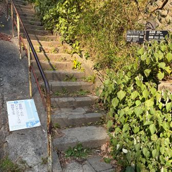 ここからスタート