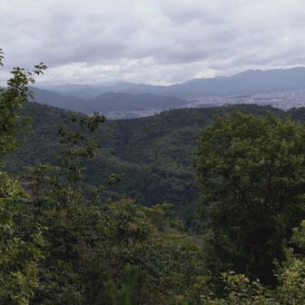 東ベンチから蓬莱山
