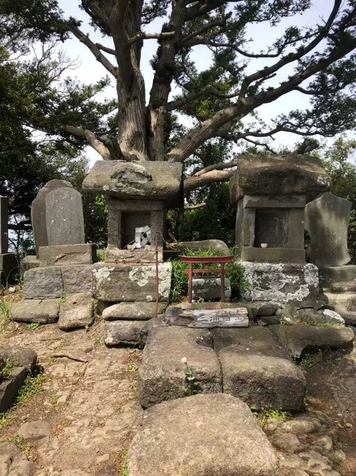 富士山（三浦富士）の写真