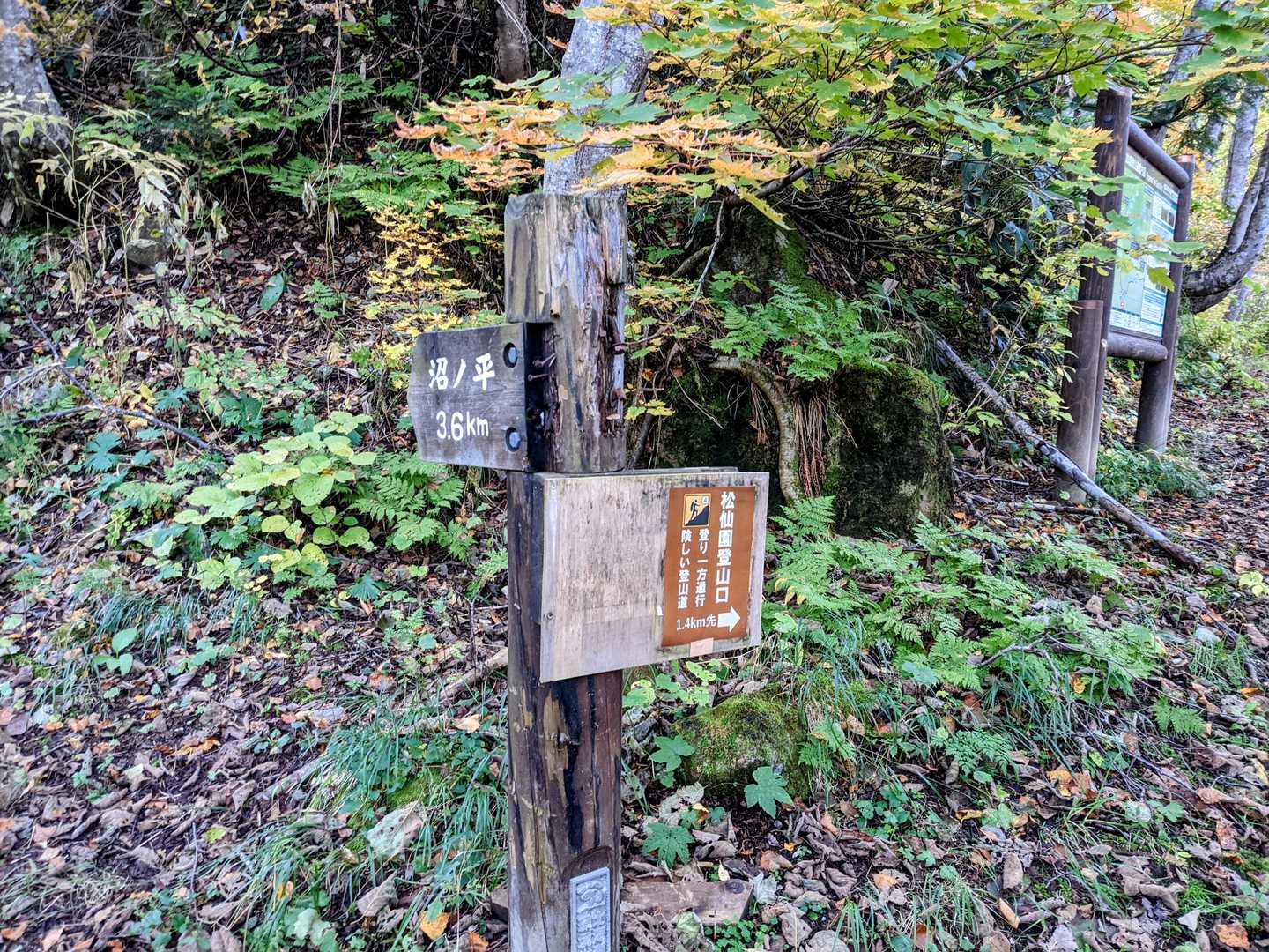松仙園分岐