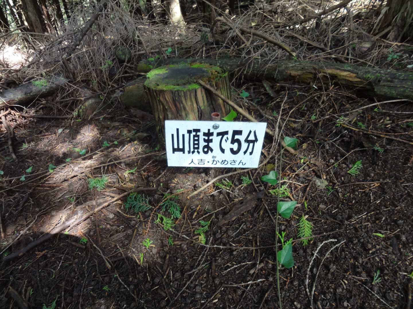 よっしゃ