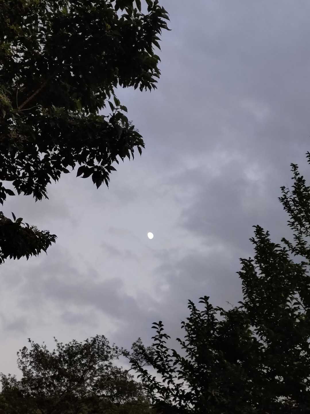 月も綺麗に出て来ました🌙