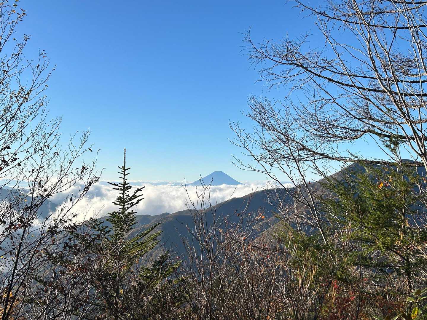 雲海と富士山🗻がいい感じ☺️
