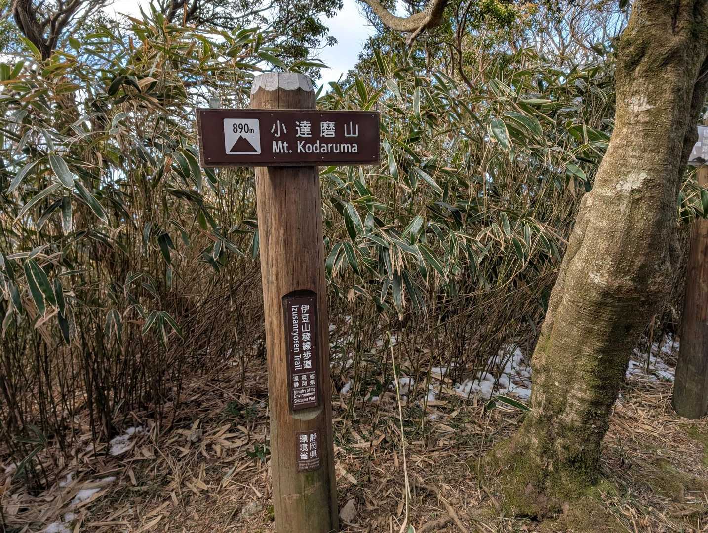 大曲茶屋バス停-伽藍山-古稀山-達磨山-金冠山 縦走コースの写真