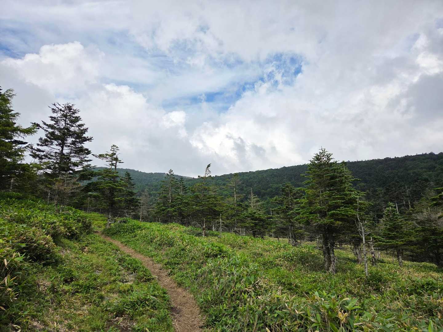 駐車場までゆるゆると登ります
正面には双子山