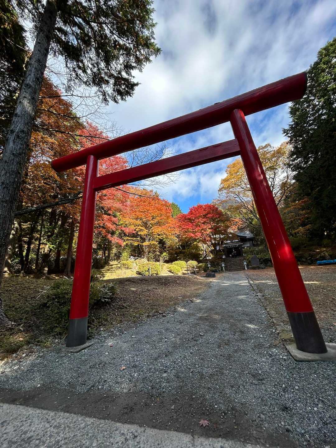 金時山コースの写真