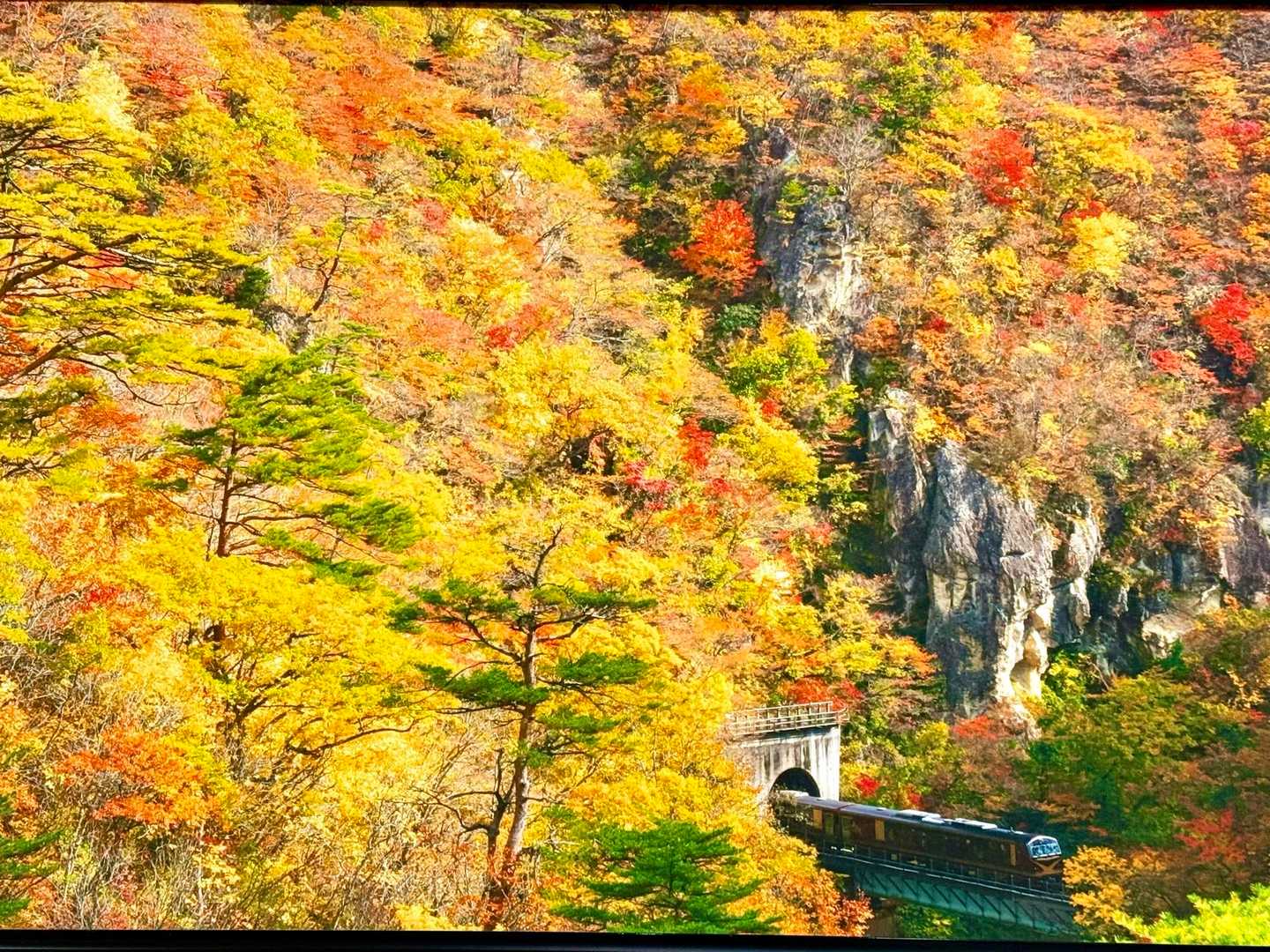 鳴子峡 紅葉時期ですね 2017年と2019年の紅葉の鳴子峡を走るリゾートみのり / ischanさんの大崎市（鳴子エリア）の活動データ ...