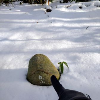 丸山到着！
　丸山登山道は、登り坂が続きますが、背に波の音🌊を聞きながら登るのがなんだか新鮮✨癒されます!

