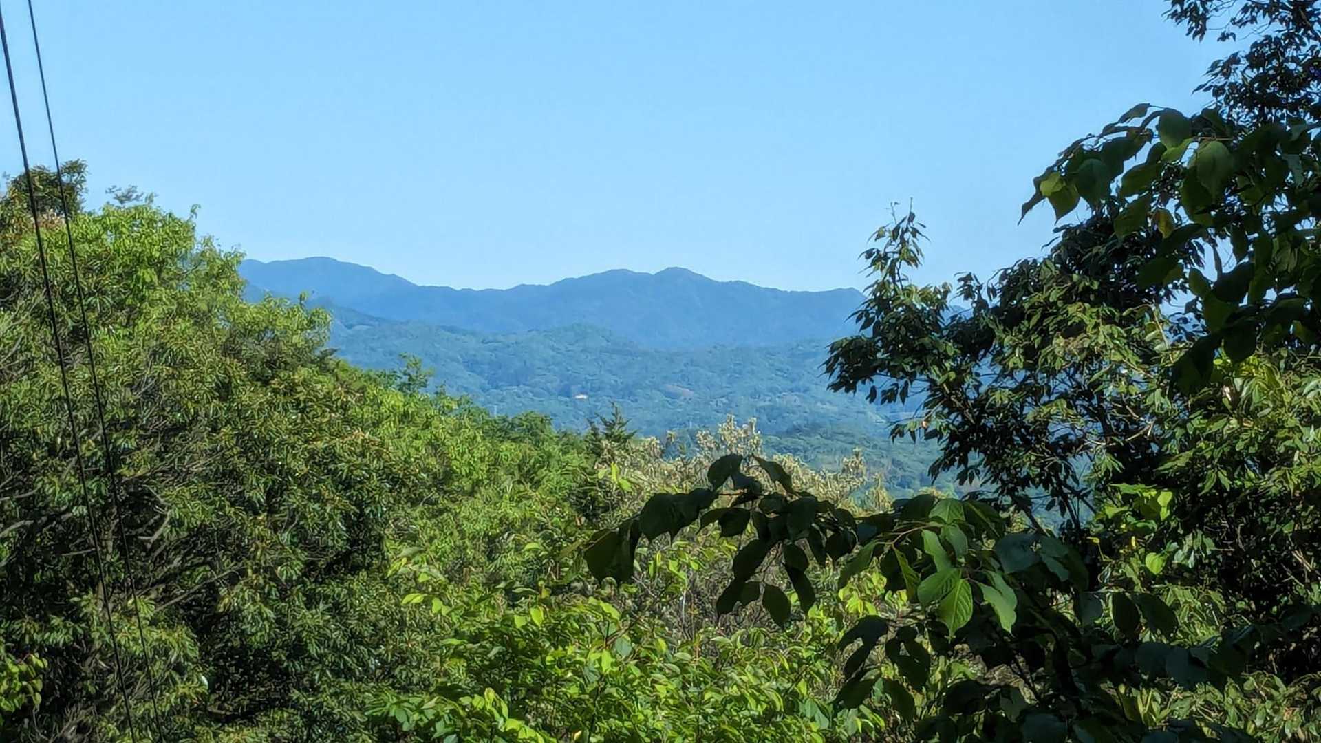 峯寺弥山 往復コースの写真