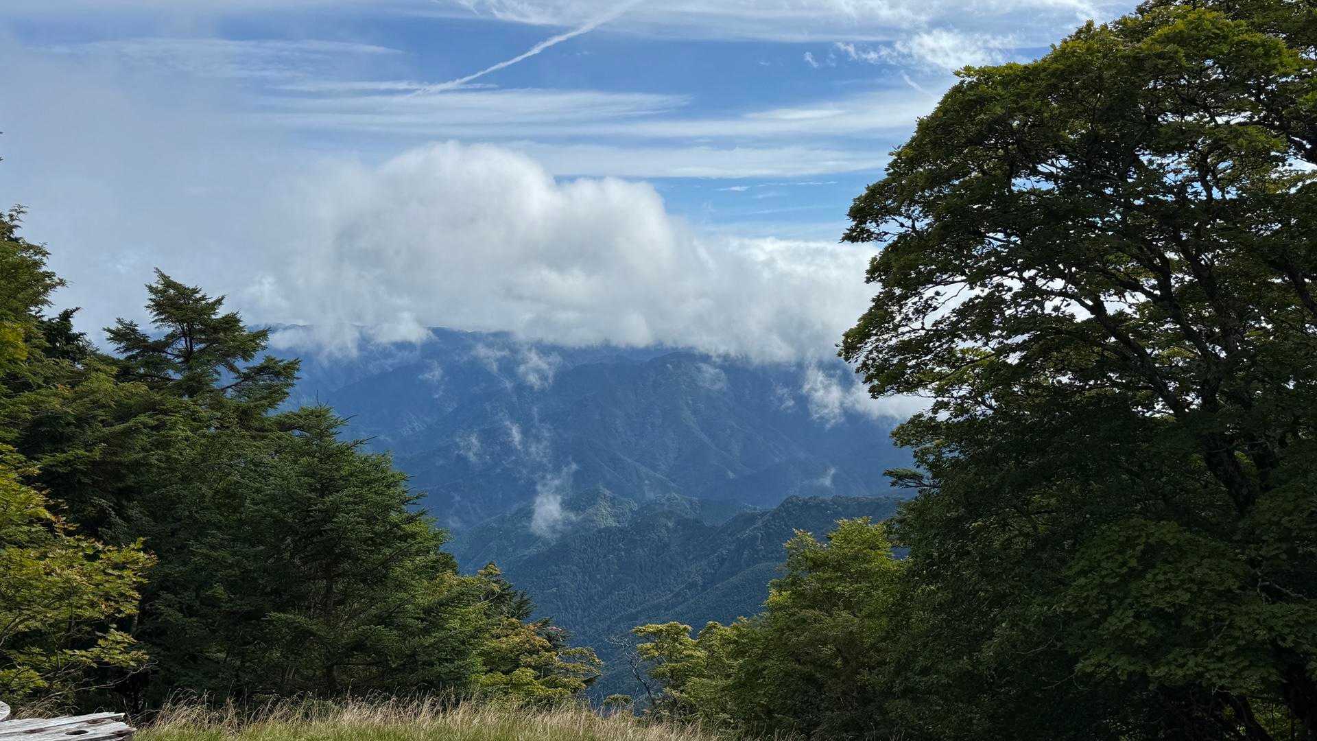 洞辻茶屋-山上ヶ岳 往復コースの写真